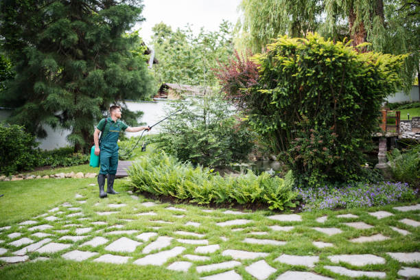 Best Ant Control Services  in Newburgh, IN