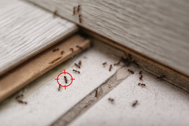 Pest Prevention Services in Newburgh, IN