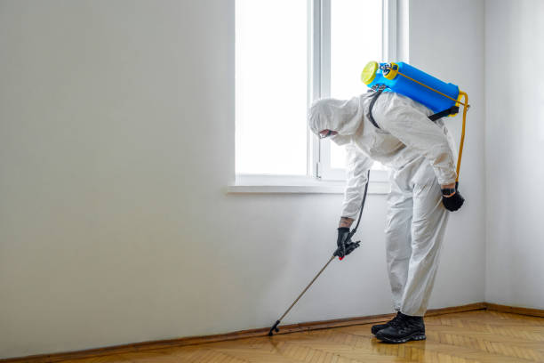 Flea Control Services in Newburgh, IN