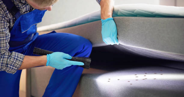 Professional Pest Control in Newburgh, IN