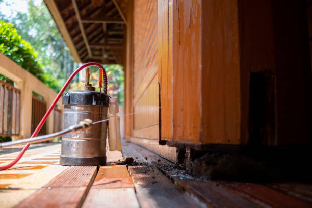 Best Affordable Pest Control Services  in Newburgh, IN