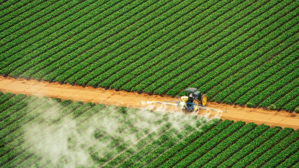 Best Commercial Pest Control Services  in Newburgh, IN