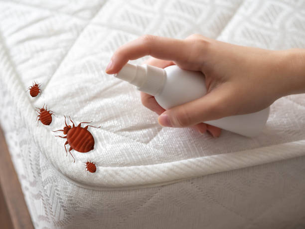 Best Affordable Pest Control Services  in Newburgh, IN