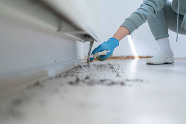 Best Pest Prevention Services  in Newburgh, IN