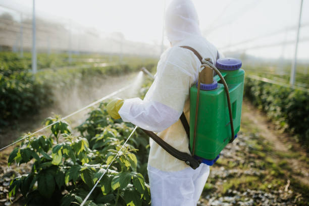 Best Affordable Pest Control Services  in Newburgh, IN